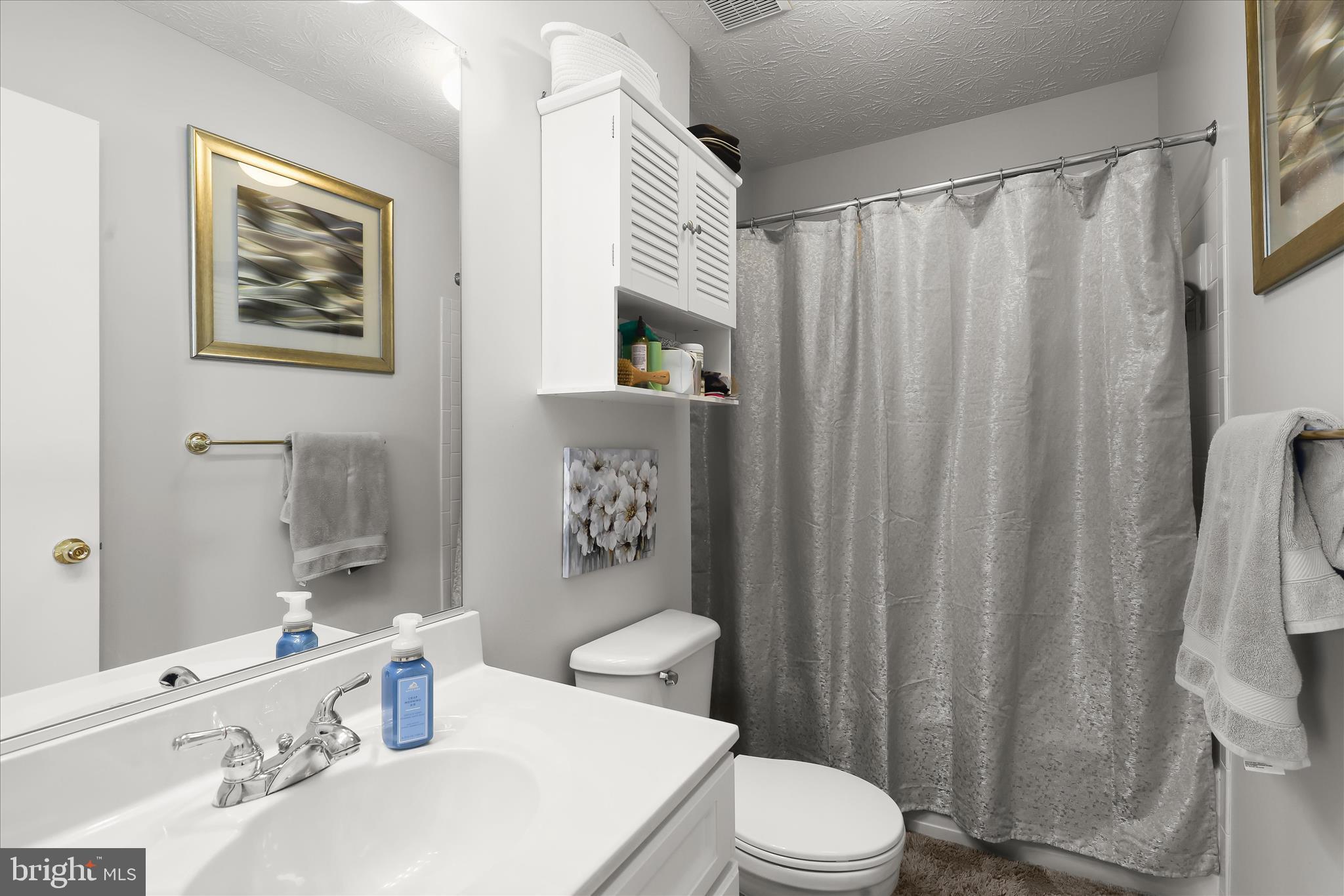 2019 Amber Way Baltimore, MD 21244 - Photo 13 of 27 a bathroom with a sink a toilet and shower curtain