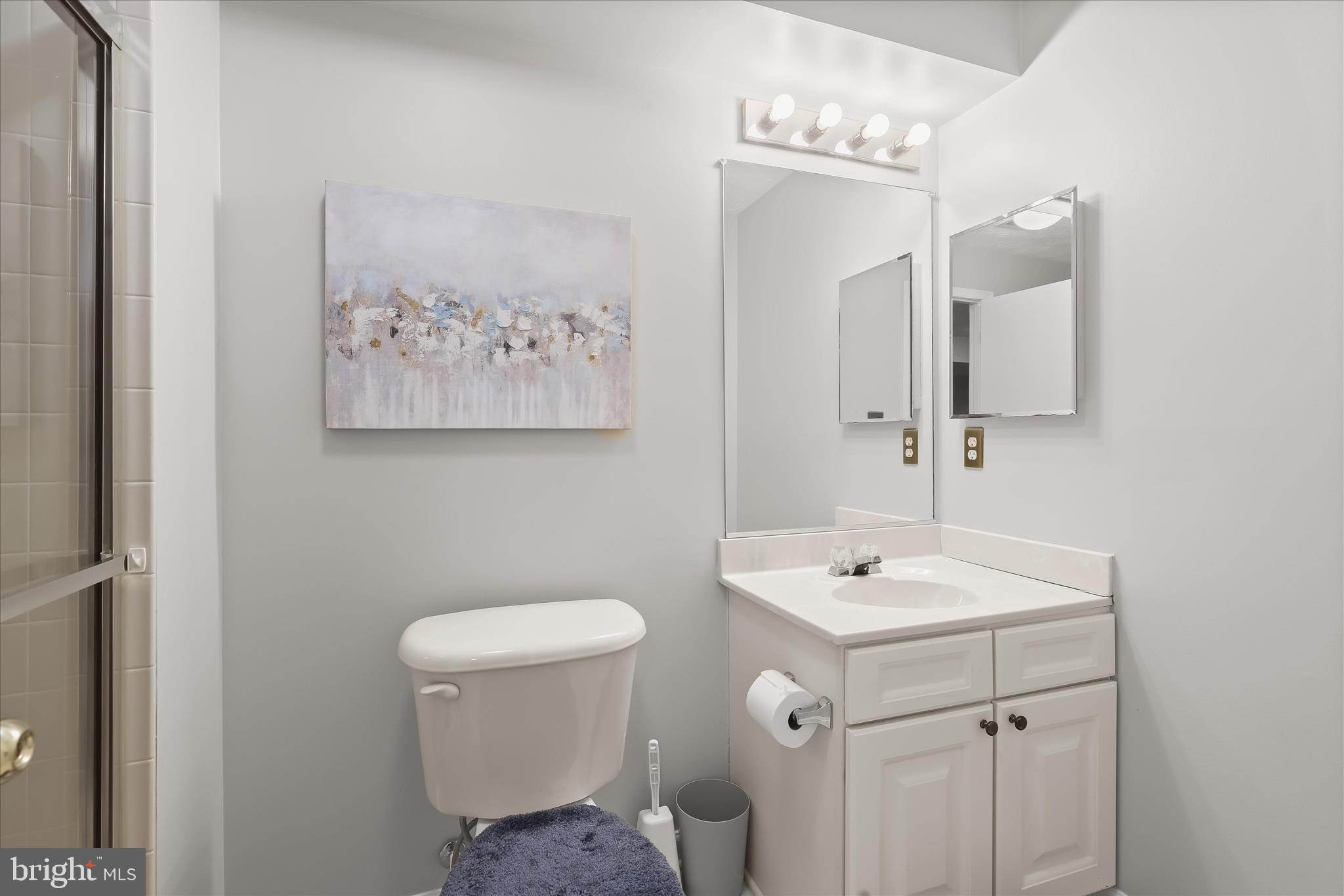 2019 Amber Way Baltimore, MD 21244 - Photo 19 of 27 a bathroom with a sink mirror and toilet