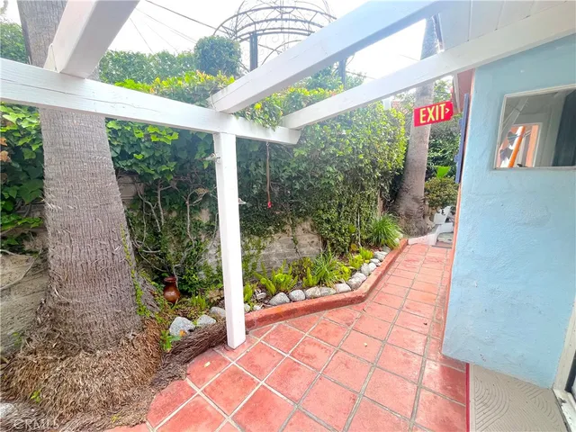 a view of a bunch of flowers