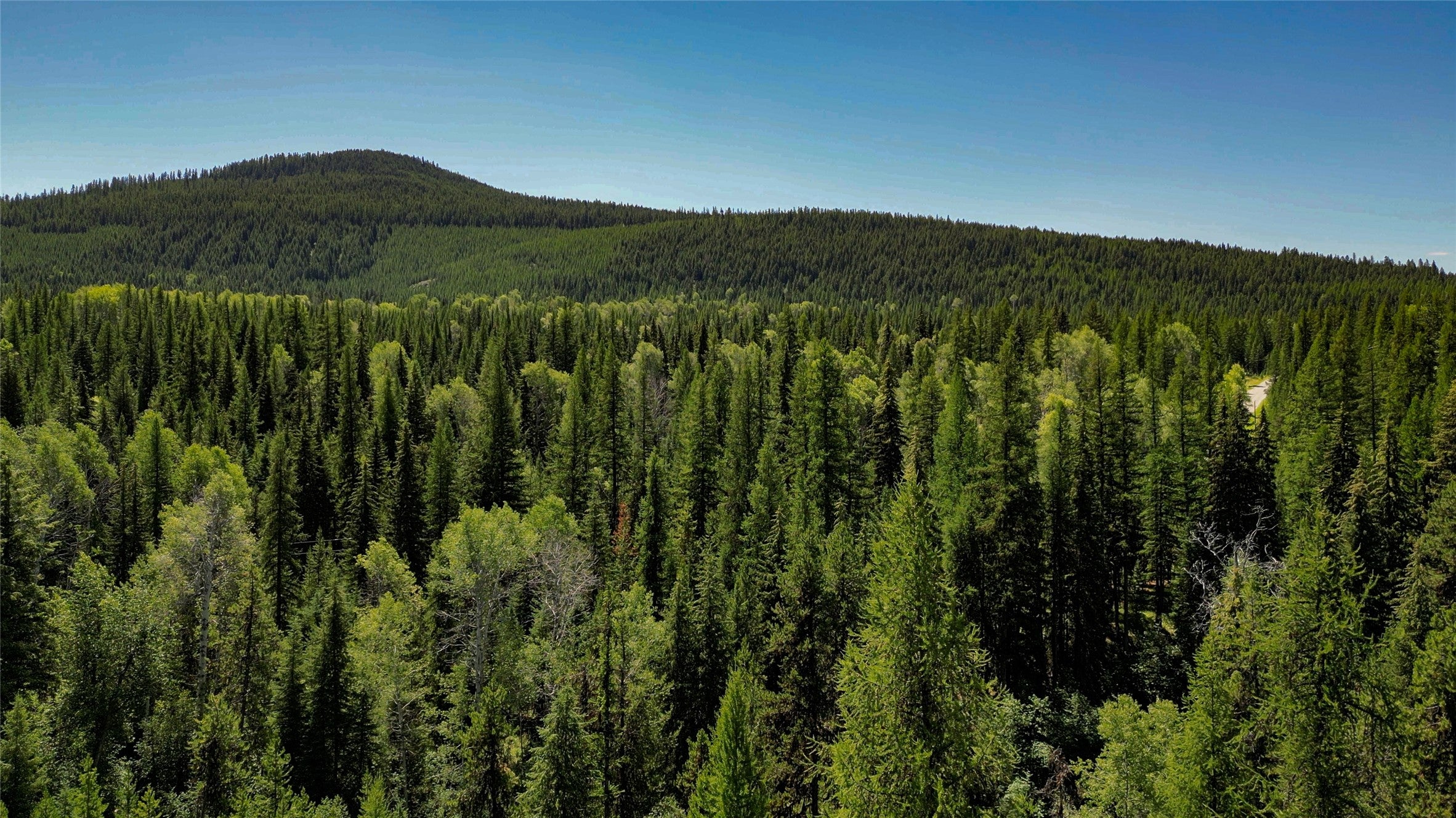 201 Swamp Crk Road Trego, MT 59934 - Photo 37 of 39 Gallery Image 37
