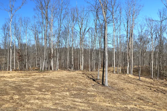 $205,000 | 2 L Oak Rdg Road, Vanleer, TN 37181