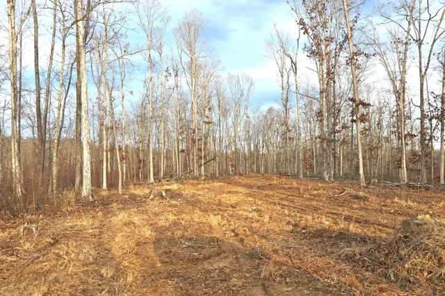 $205,000 | 2 L Oak Rdg Road, Vanleer, TN 37181