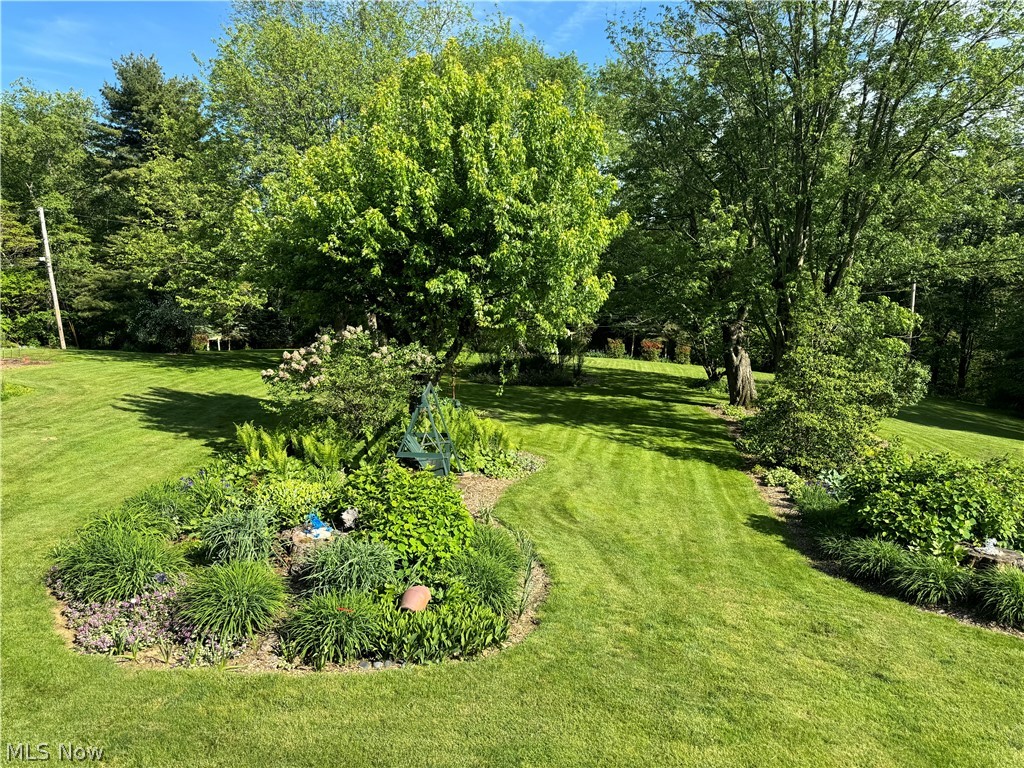 123 E Road Toronto, OH 43964 - Photo 27 of 34 View of yard