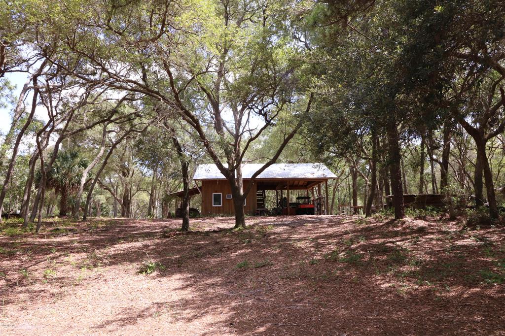 0 Southeast 170th Avenue Road Ocklawaha, FL 32179 - Photo 1 of 1 IMG_2137