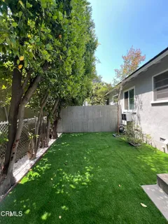 a view of a backyard with plants and a large tree