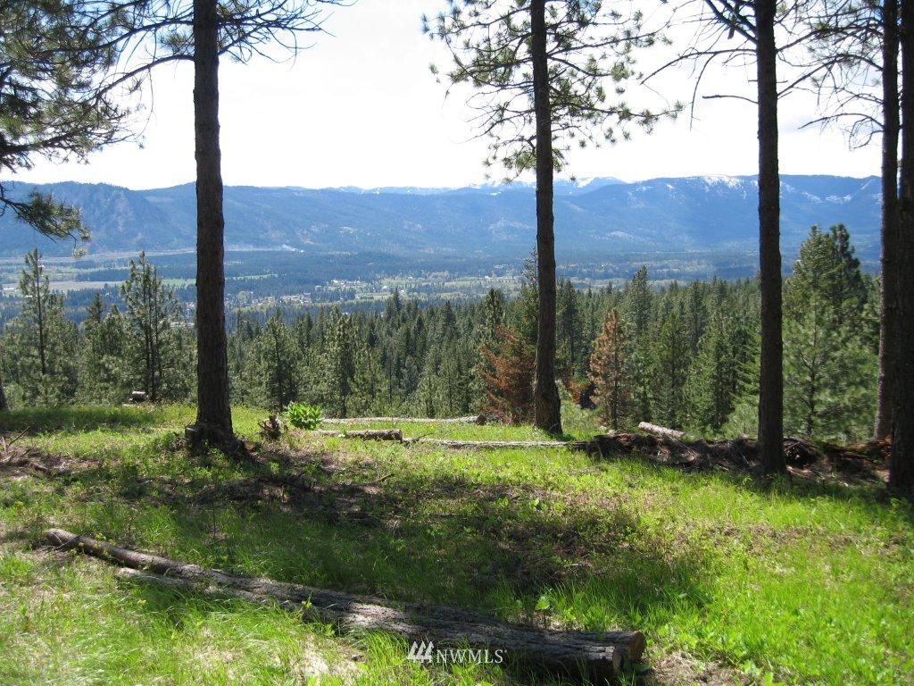 14 Summit View Road Cle Elum, WA 98922 - Photo 2 of 12 Gallery Image 2