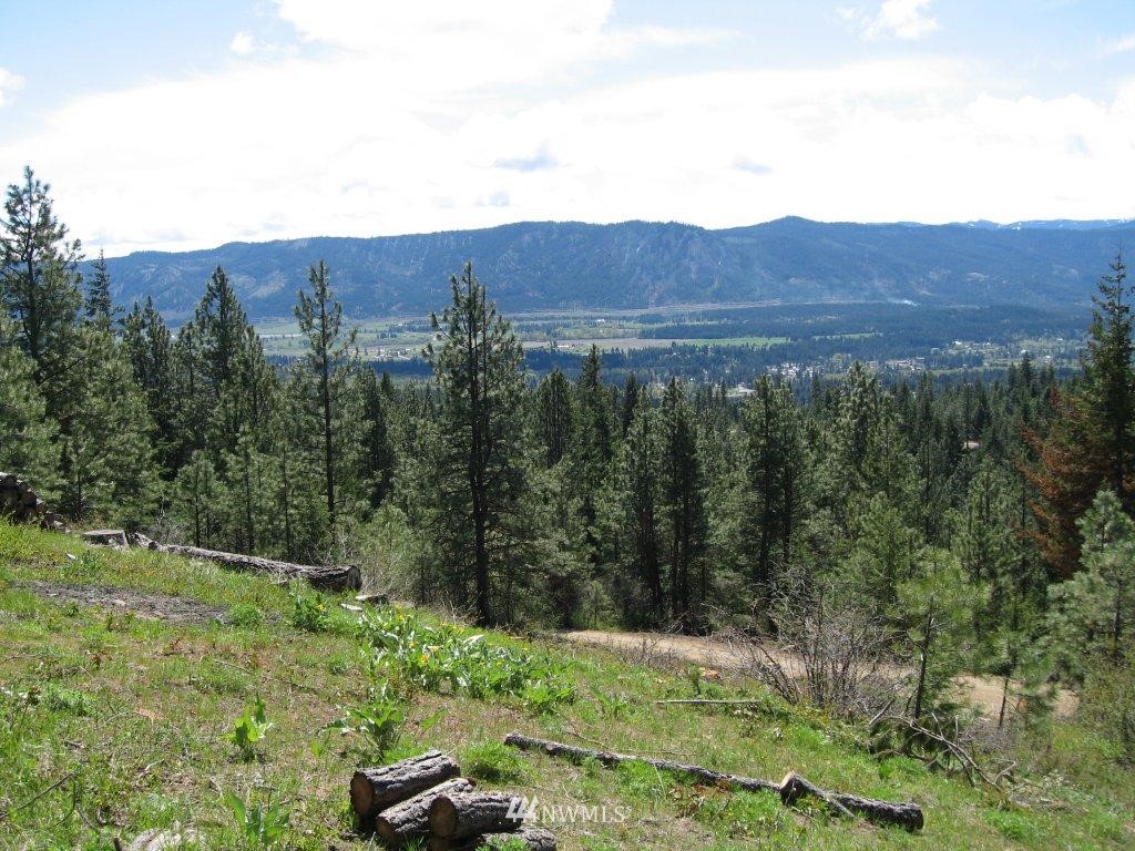 14 Summit View Road Cle Elum, WA 98922 - Photo 4 of 12 Gallery Image 4