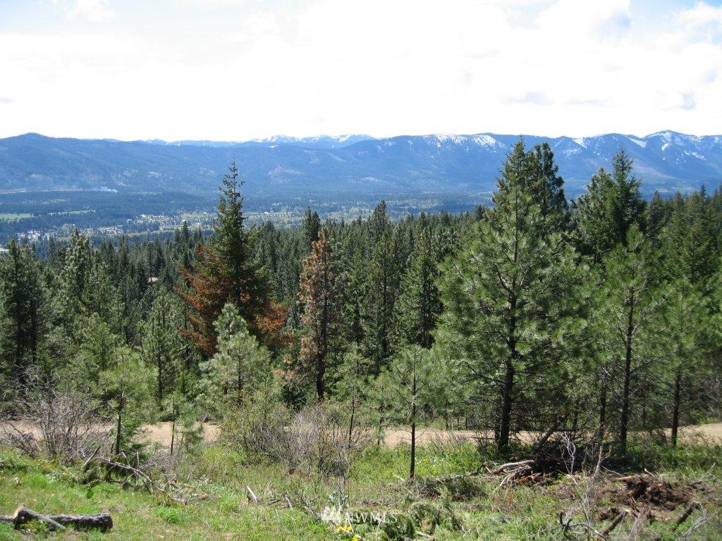 14 Summit View Road Cle Elum, WA 98922 - Photo 5 of 12 Gallery Image 5