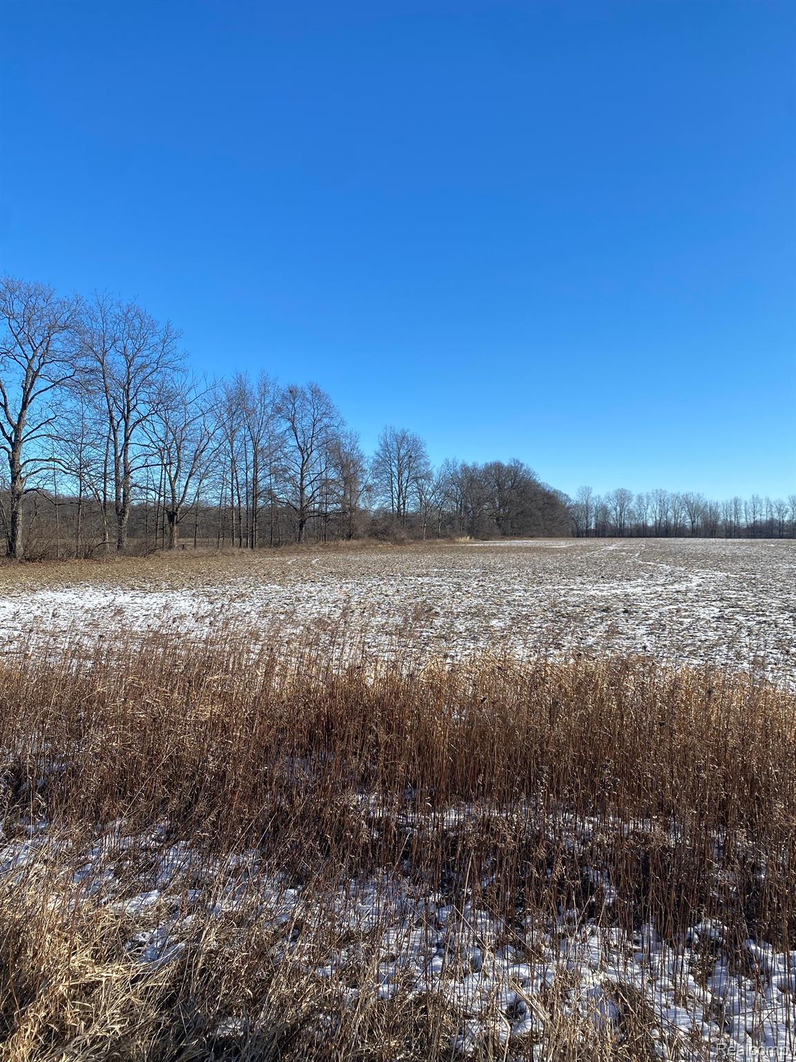 0 Wheeler Road Allenton, MI 48002 - Photo 1 of 1 Gallery Image 1