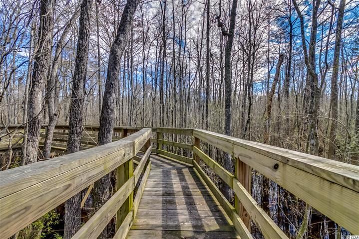 402 Channel View Drive Conway, SC 29527 - Photo 19 of 21 Gallery Image 19