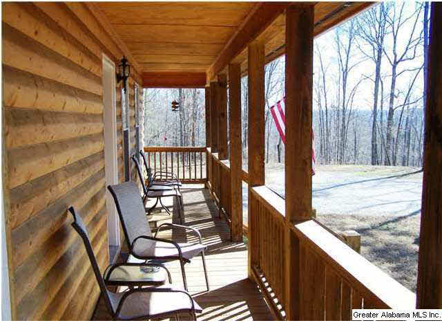 236 County Road 910 Delta, AL 36258 - Photo 3 of 27