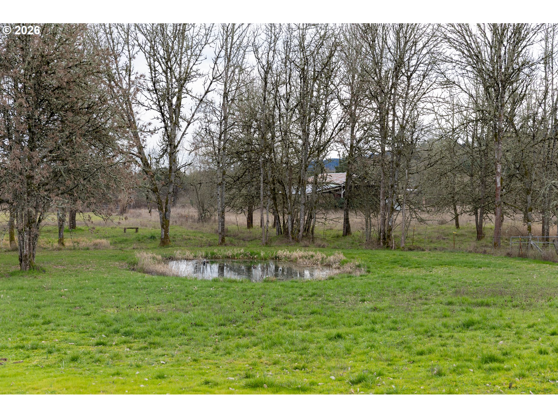 26724 Monroe Cemetery Road Monroe, OR 97456 - Photo 11 of 18