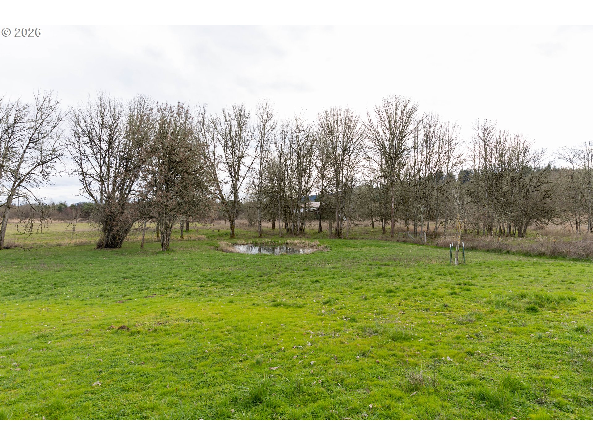 26724 Monroe Cemetery Road Monroe, OR 97456 - Photo 12 of 18