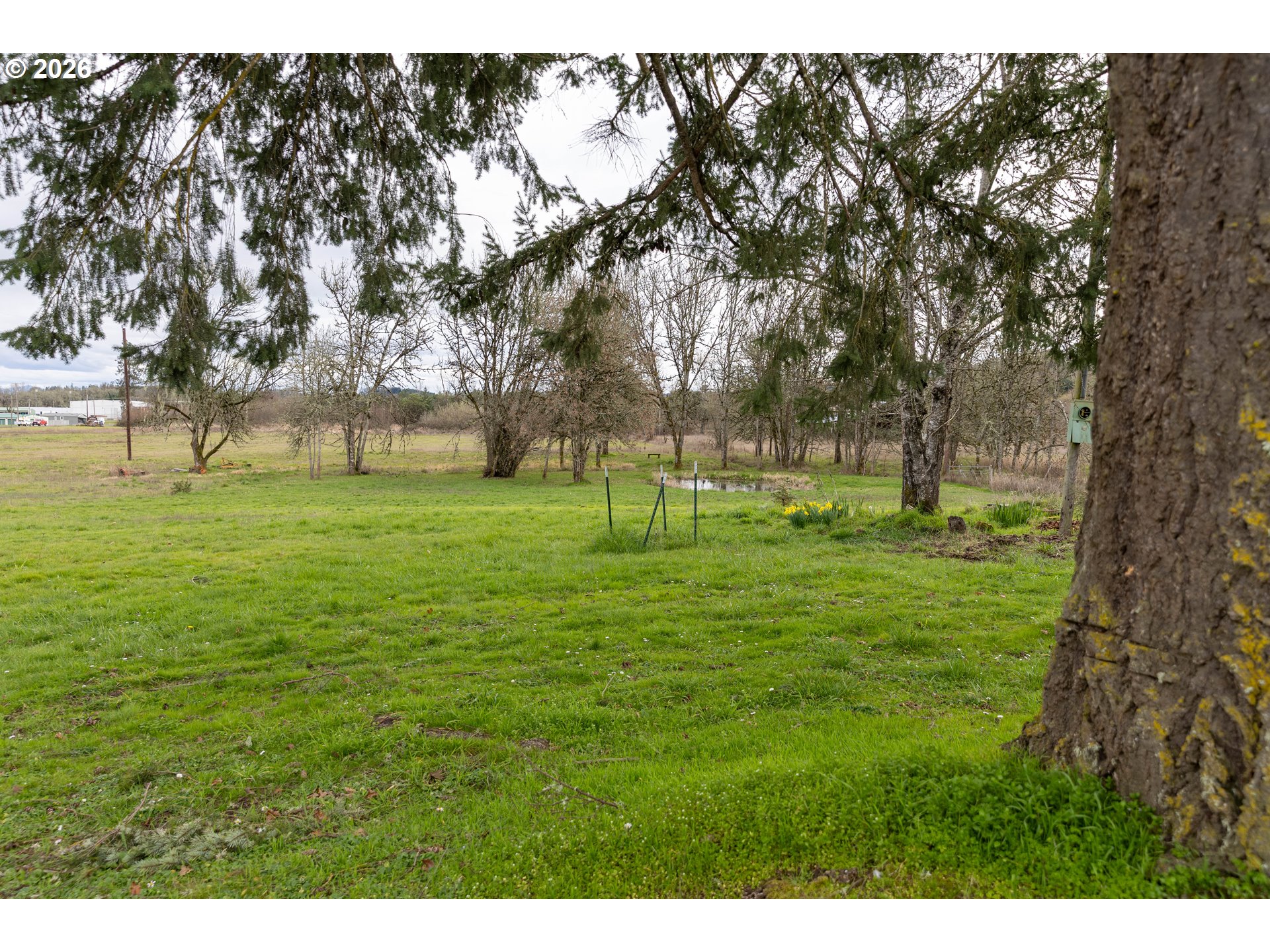 26724 Monroe Cemetery Road Monroe, OR 97456 - Photo 2 of 18