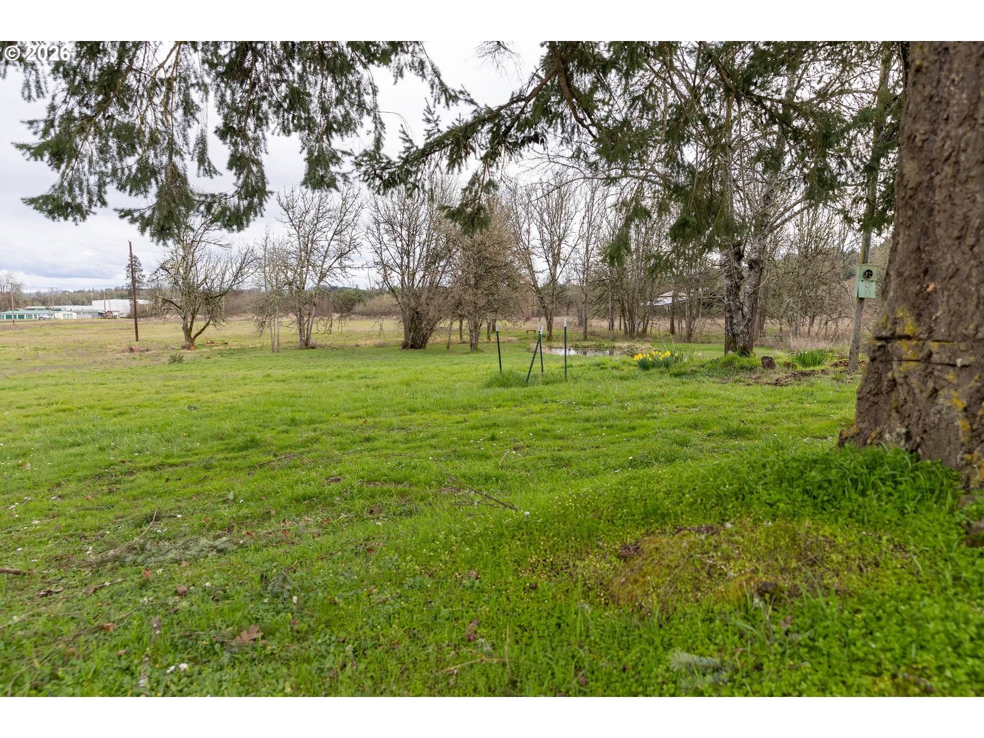26724 Monroe Cemetery Road Monroe, OR 97456 - Photo 3 of 18