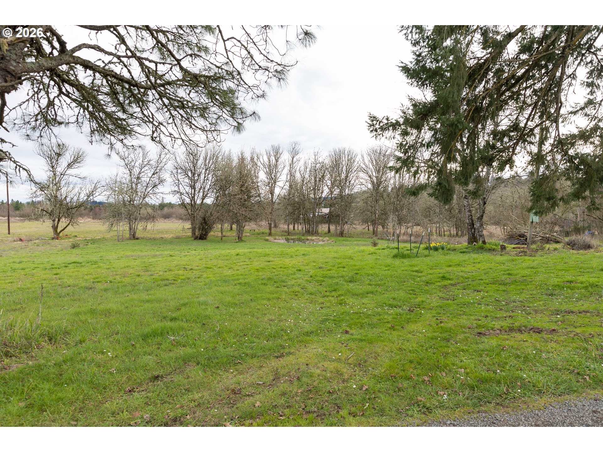 26724 Monroe Cemetery Road Monroe, OR 97456 - Photo 4 of 18