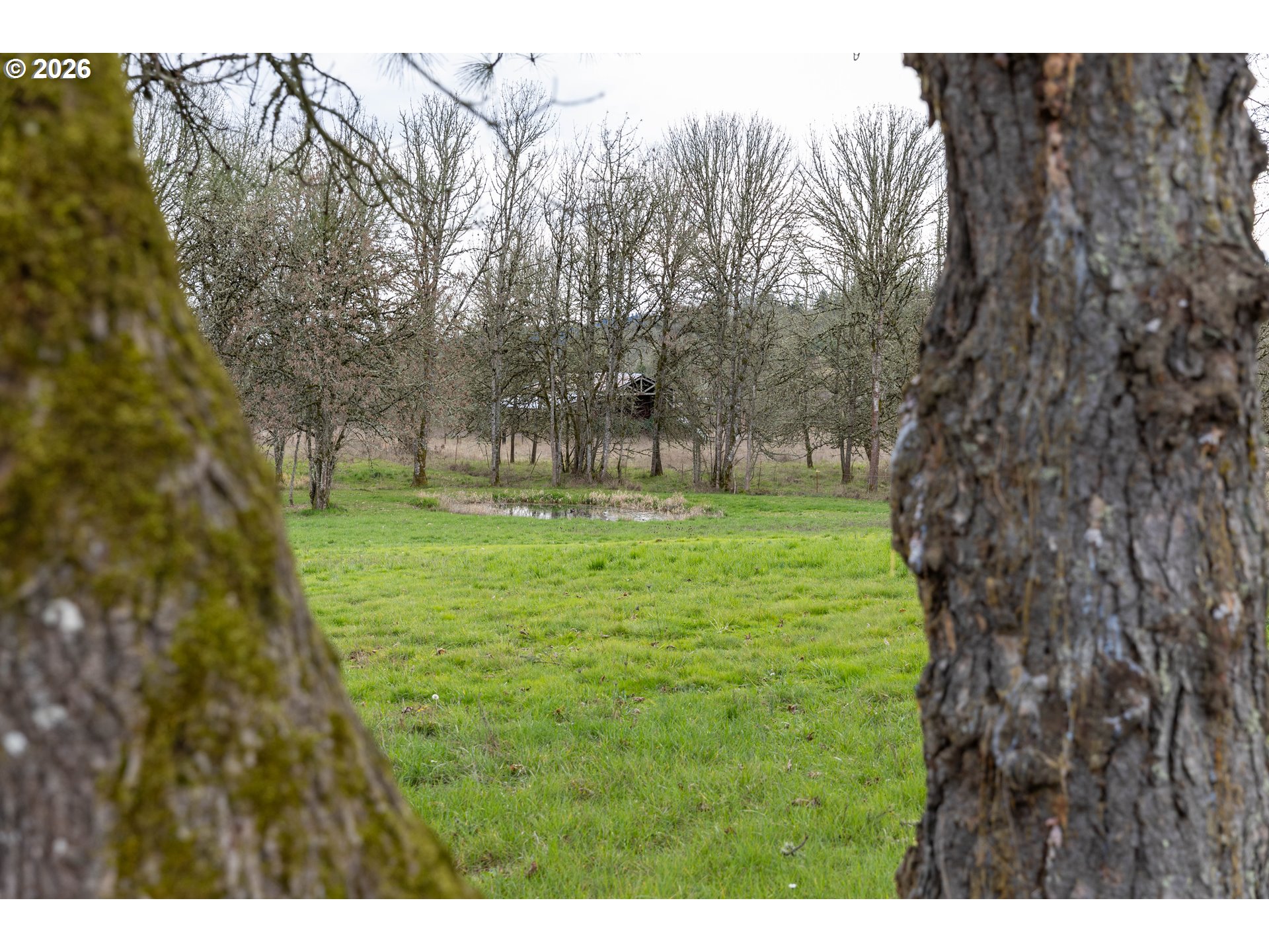 26724 Monroe Cemetery Road Monroe, OR 97456 - Photo 5 of 18