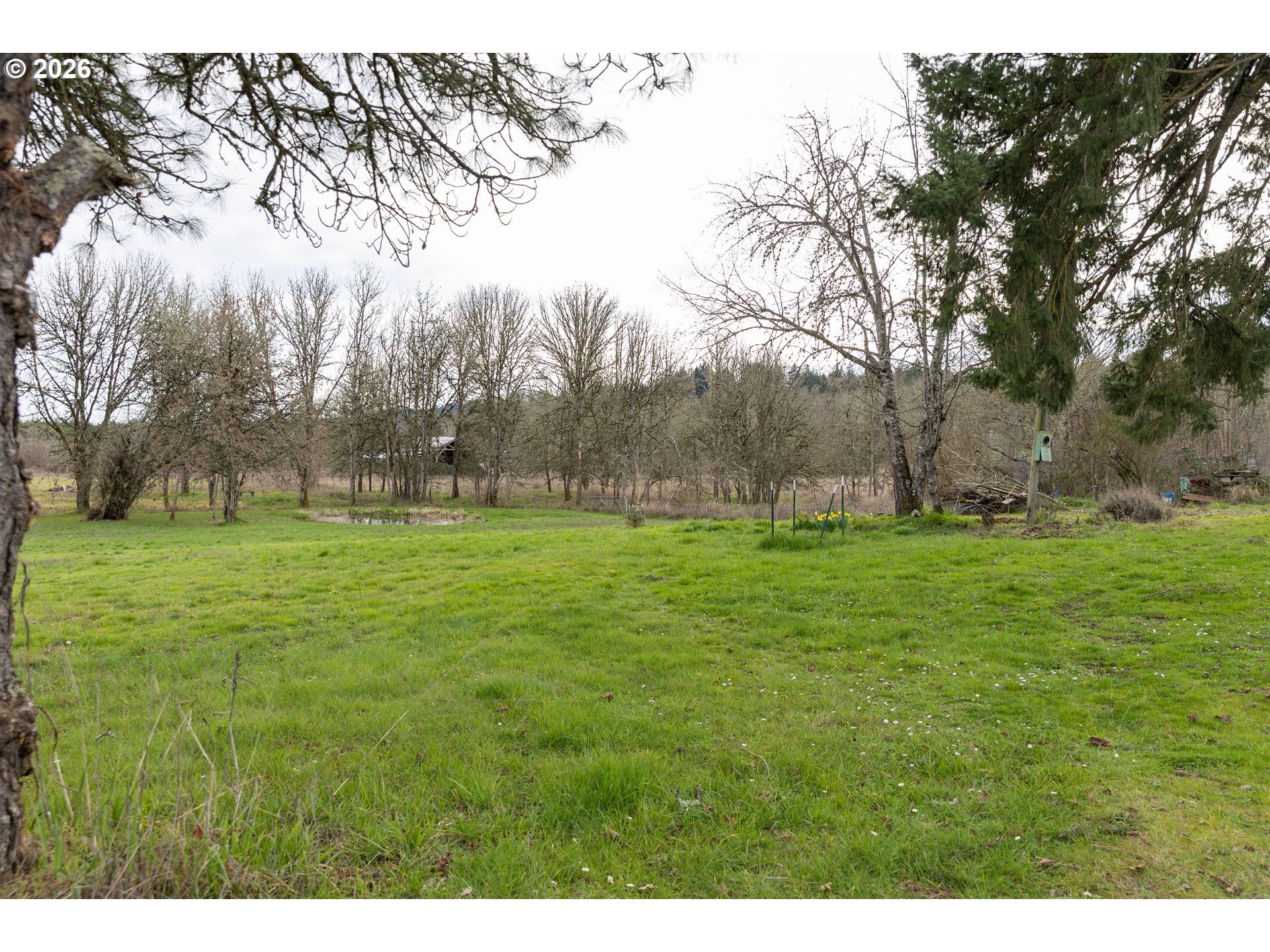 26724 Monroe Cemetery Road Monroe, OR 97456 - Photo 6 of 18