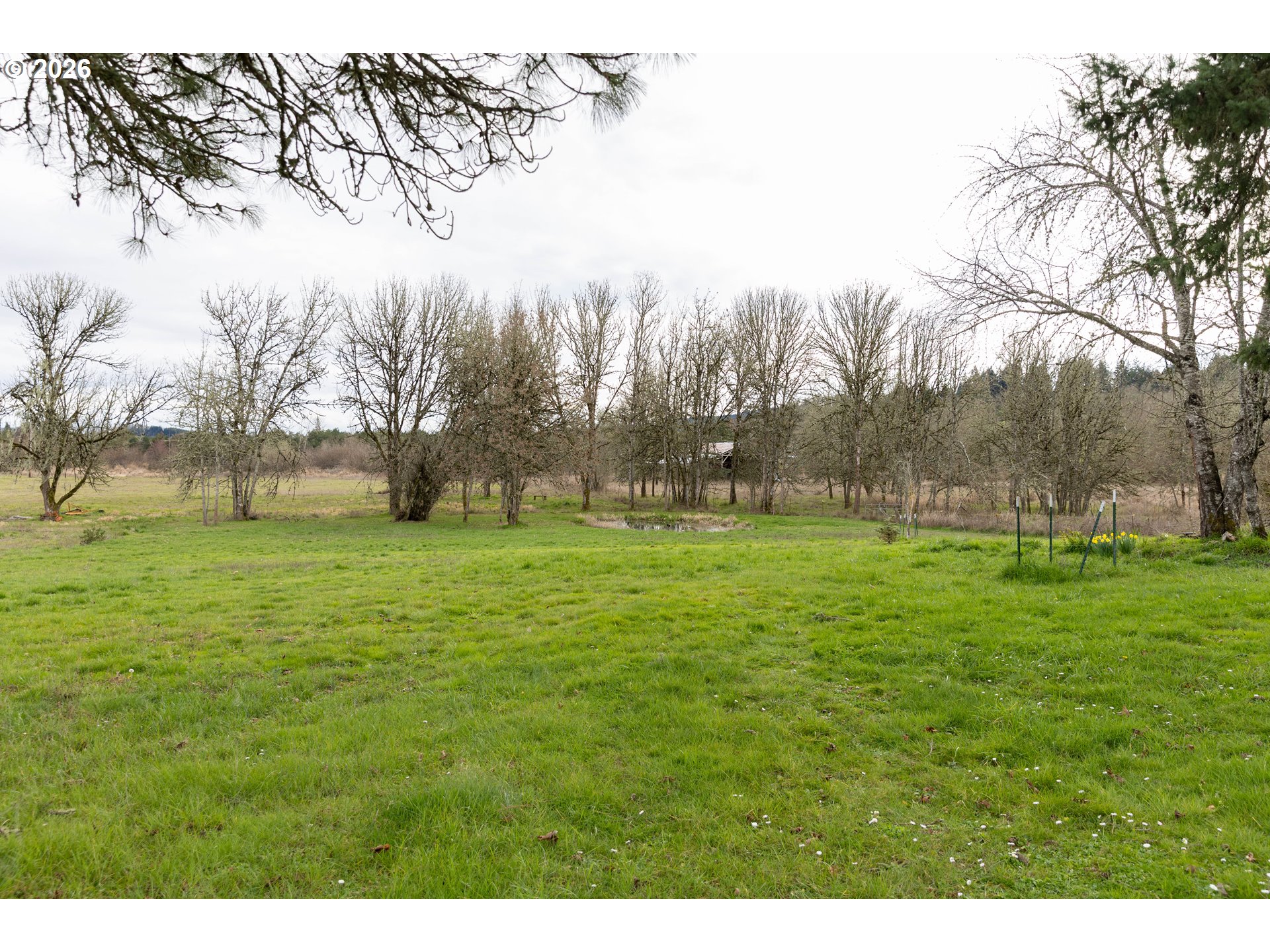 26724 Monroe Cemetery Road Monroe, OR 97456 - Photo 7 of 18