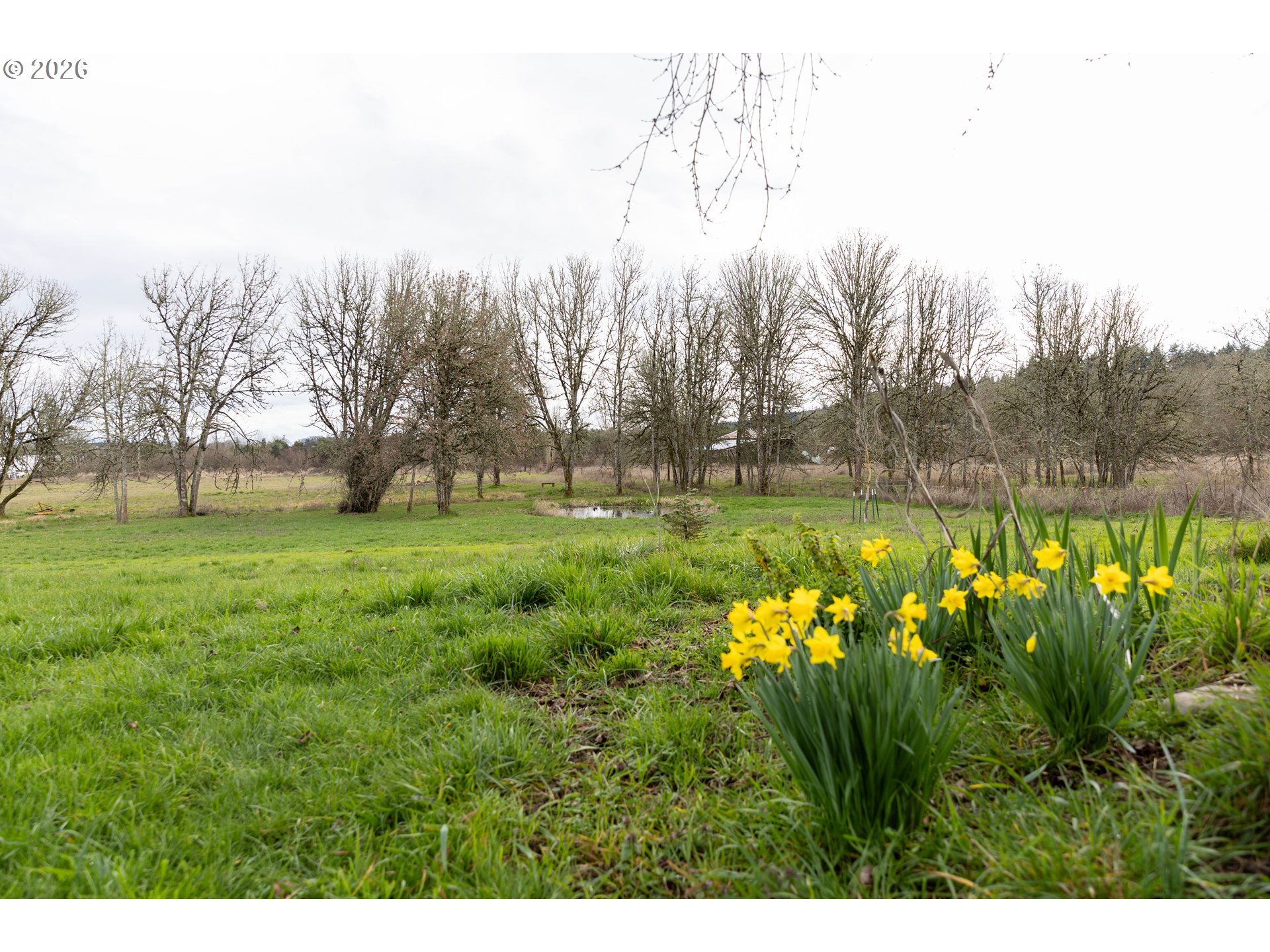 26724 Monroe Cemetery Road Monroe, OR 97456 - Photo 9 of 18