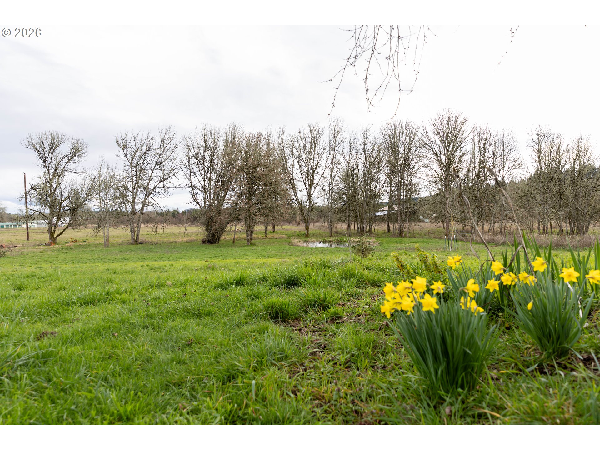 26724 Monroe Cemetery Road Monroe, OR 97456 - Photo 10 of 18