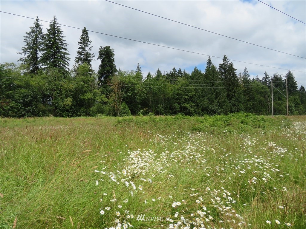 747 Jorgensen Road Onalaska, WA 98570 - Photo 22 of 25 Gallery Image 22