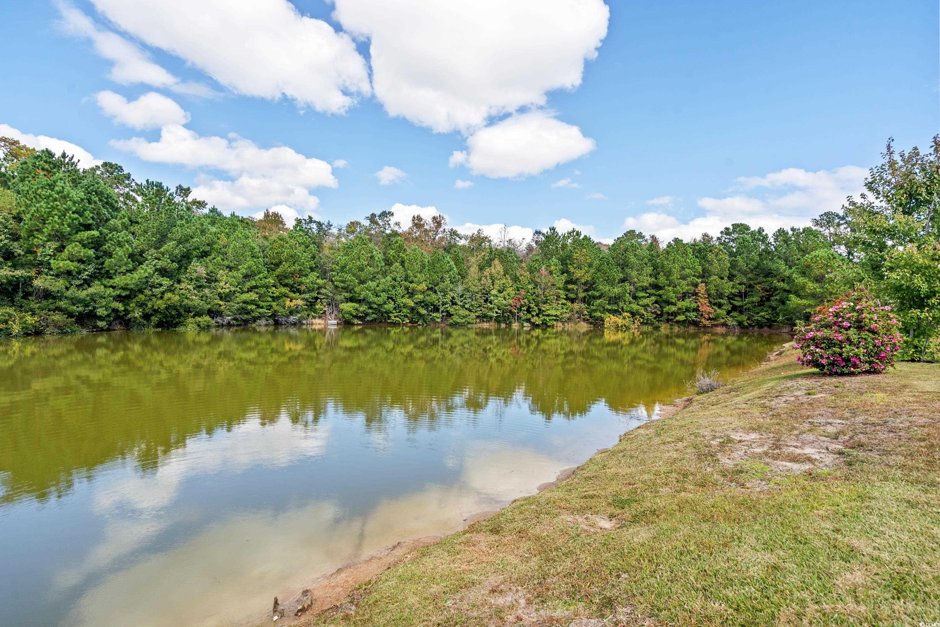 409 Barton Loop Myrtle Beach, SC 29579 - Photo 29 of 36 Gallery Image 29