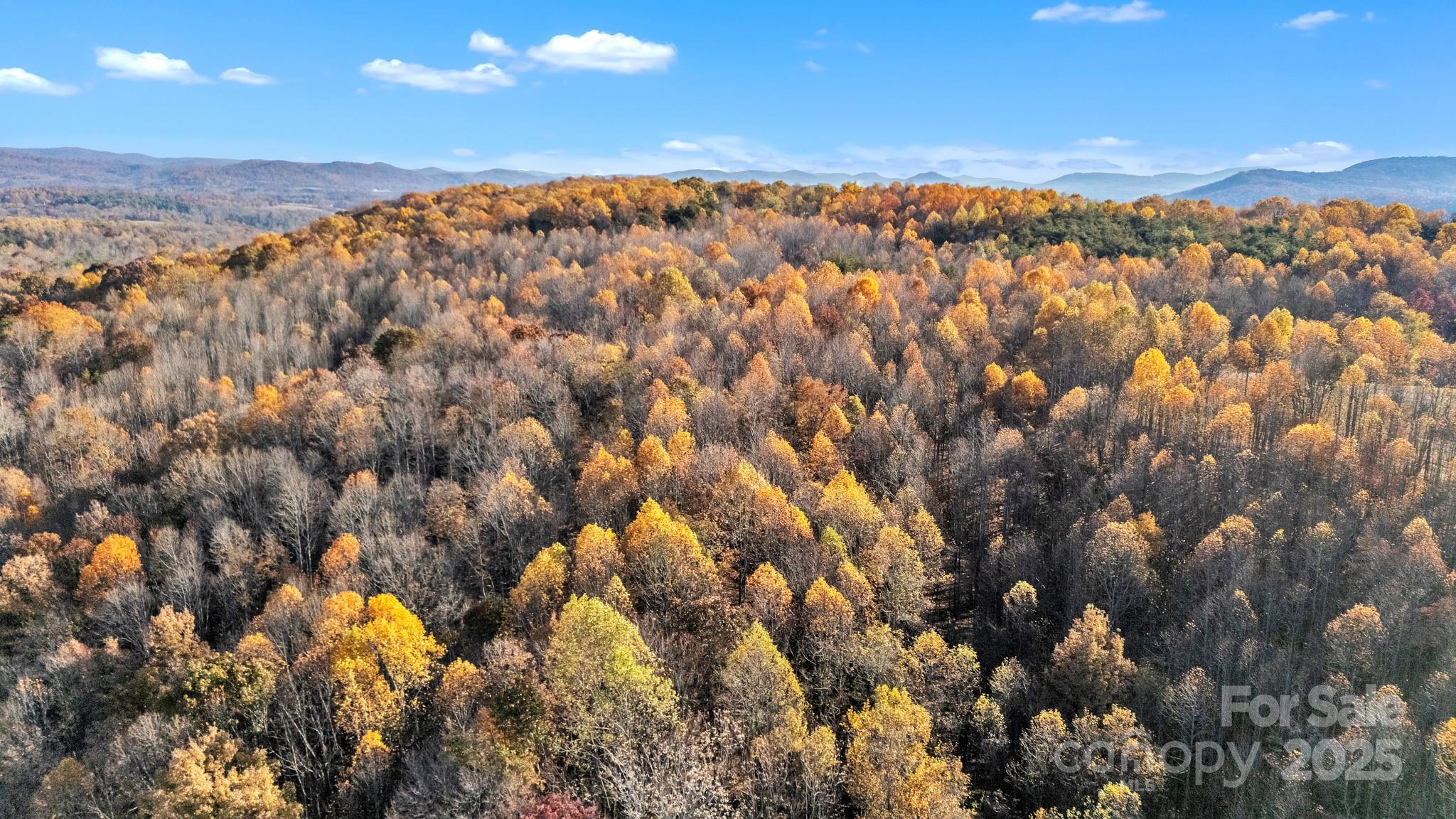 0 Black Oak Ridge Road Taylorsville, NC 28681 - Photo 11 of 18 a view of city and mountain
