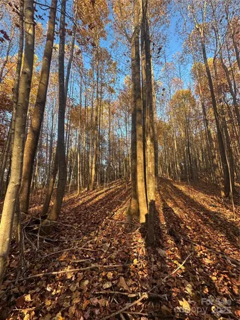 a view of outdoor space with deck and tree
