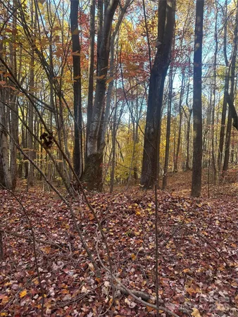 a view of outdoor space