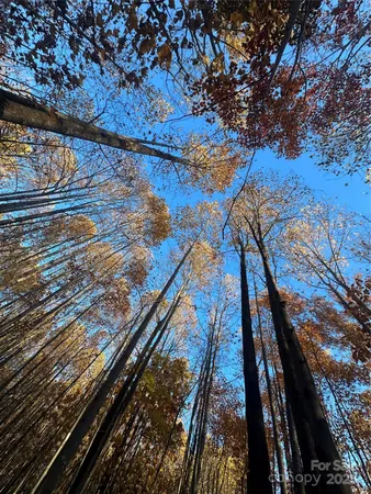 $525,000 | 0 Black Oak Ridge Road, Taylorsville, NC 28681