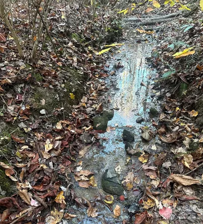 $525,000 | 0 Black Oak Ridge Road, Taylorsville, NC 28681