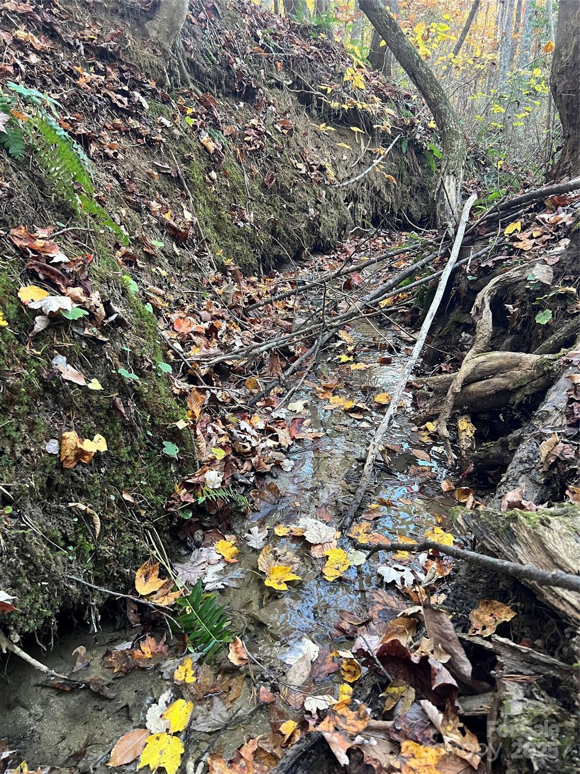 0 Black Oak Ridge Road Taylorsville, NC 28681 - Photo 3 of 18