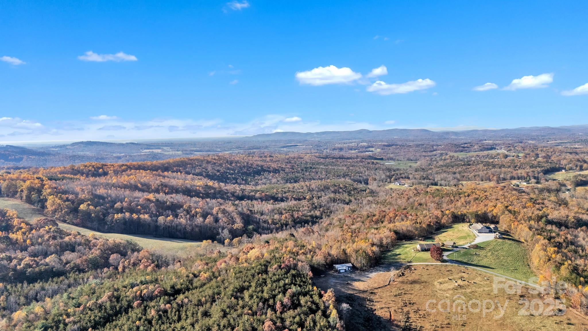 0 Black Oak Ridge Road Taylorsville, NC 28681 - Photo 6 of 18