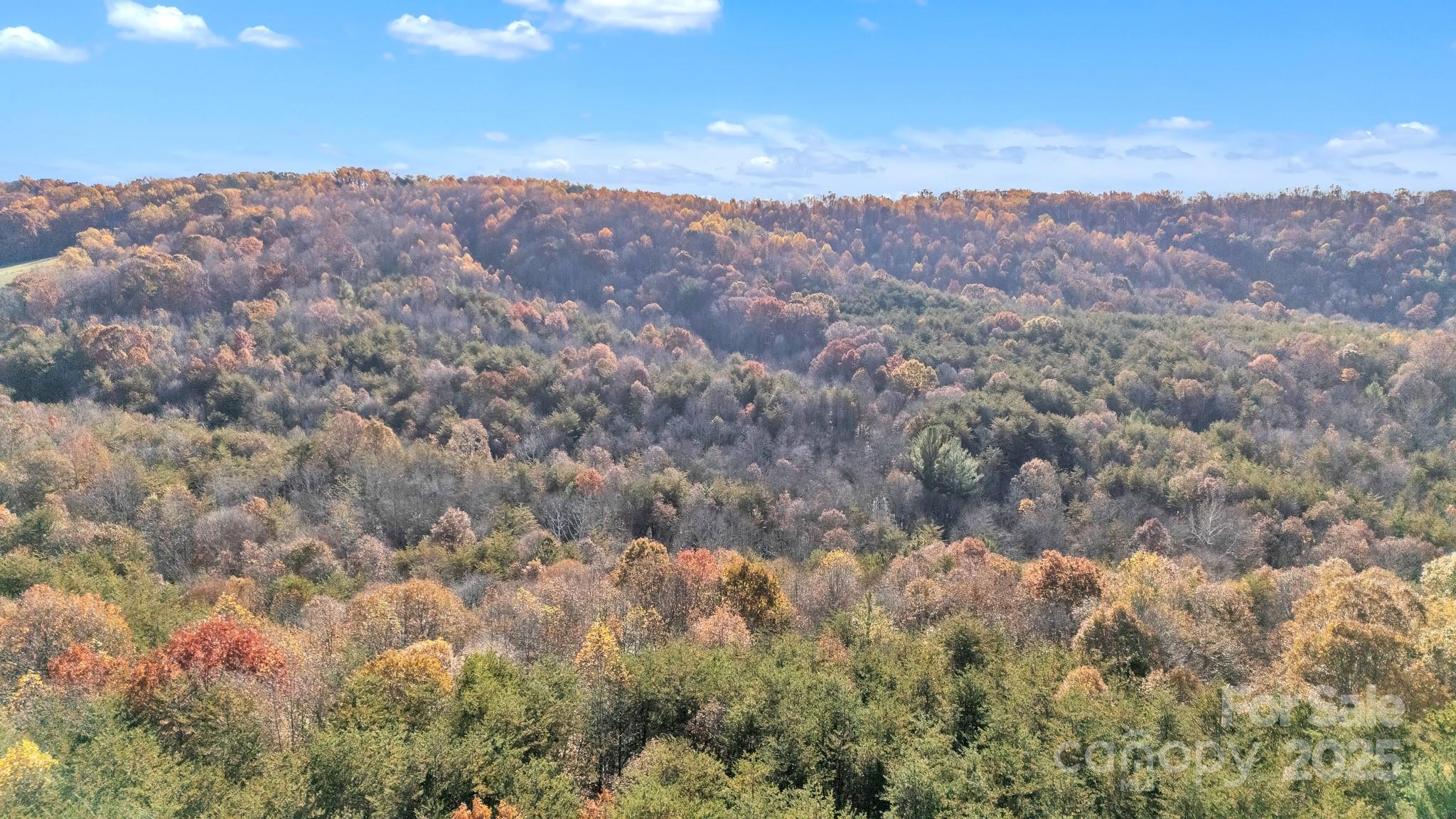 0 Black Oak Ridge Road Taylorsville, NC 28681 - Photo 9 of 18 a view of city and mountain