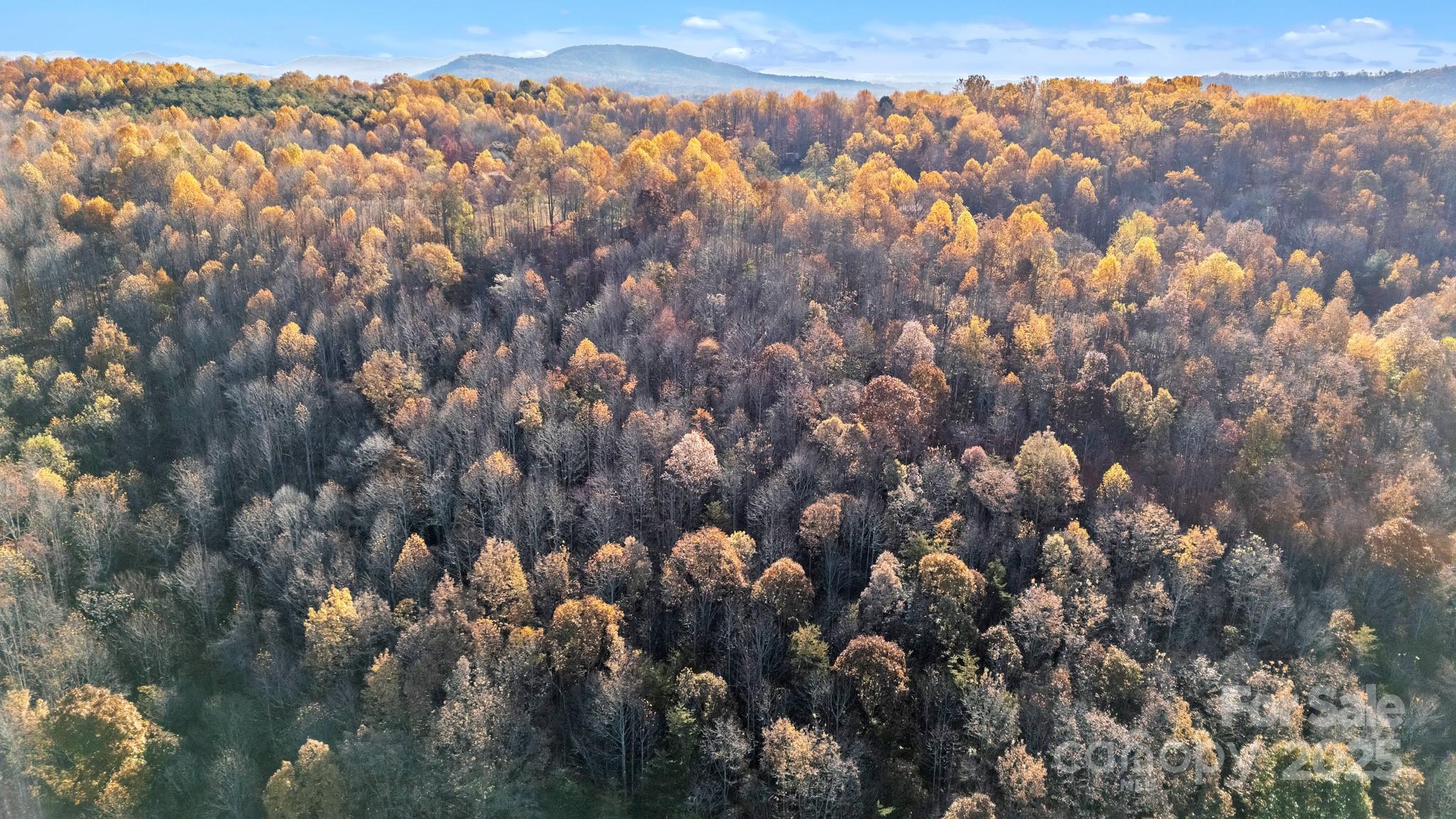 0 Black Oak Ridge Road Taylorsville, NC 28681 - Photo 10 of 18 a view of mountains