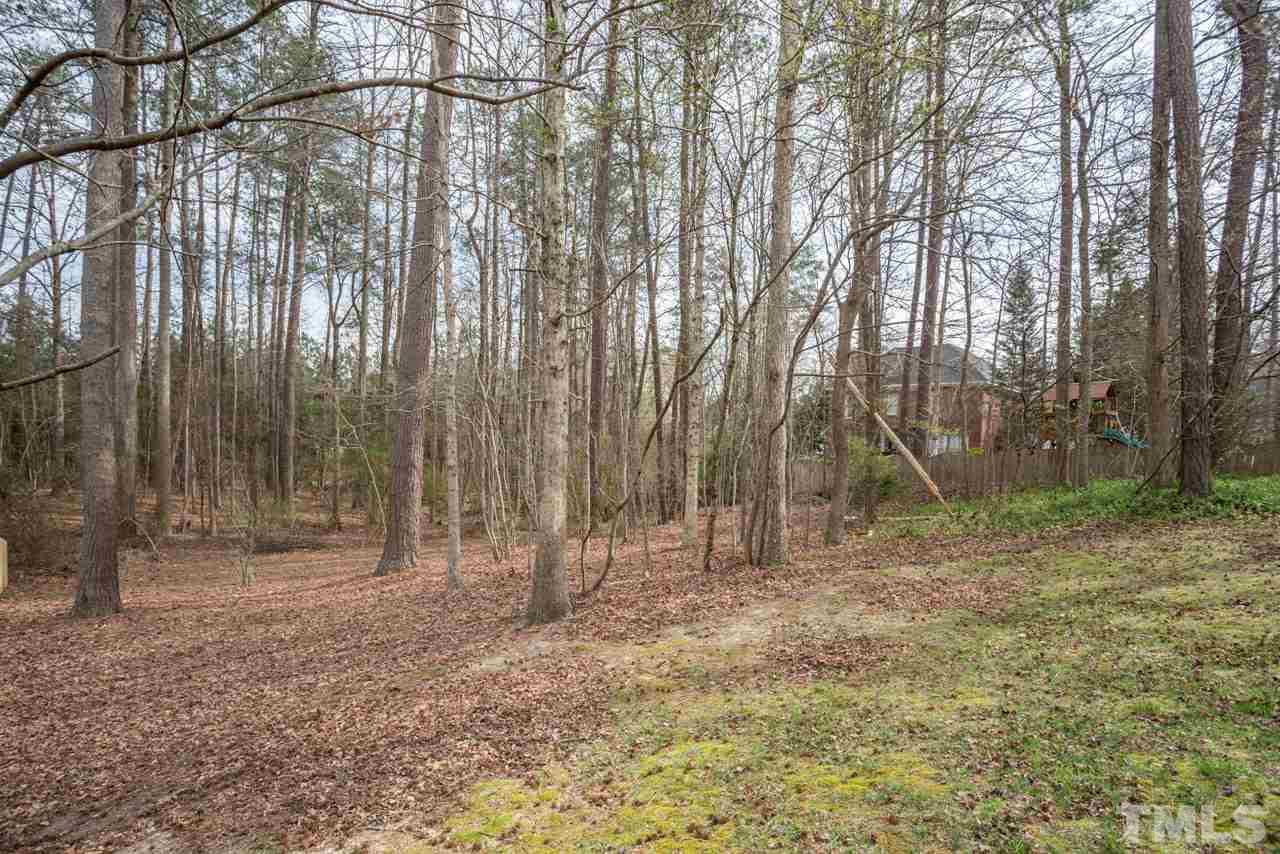 2716 Dahlgreen Road Raleigh, NC 27615 - Photo 25 of 25 a view of outdoor space with trees