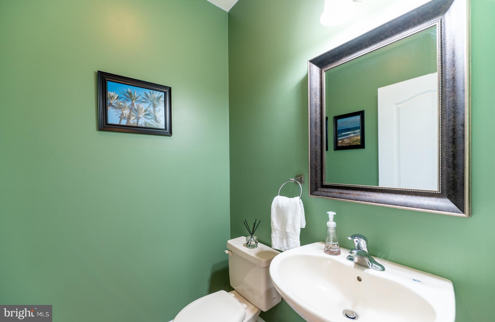 13 Maack Road Pottstown, PA 19465 - Photo 27 of 65 Charming green oasis in half bath.