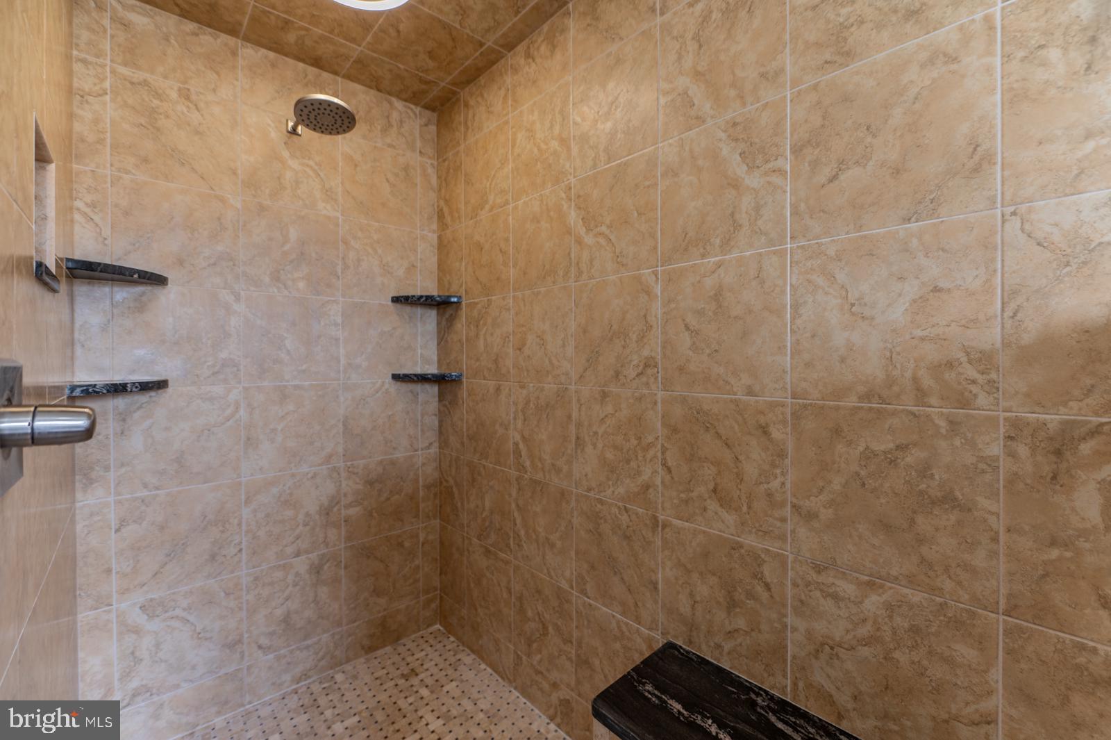 13 Maack Road Pottstown, PA 19465 - Photo 36 of 65 Sleek, modern shower with elegant tiles.