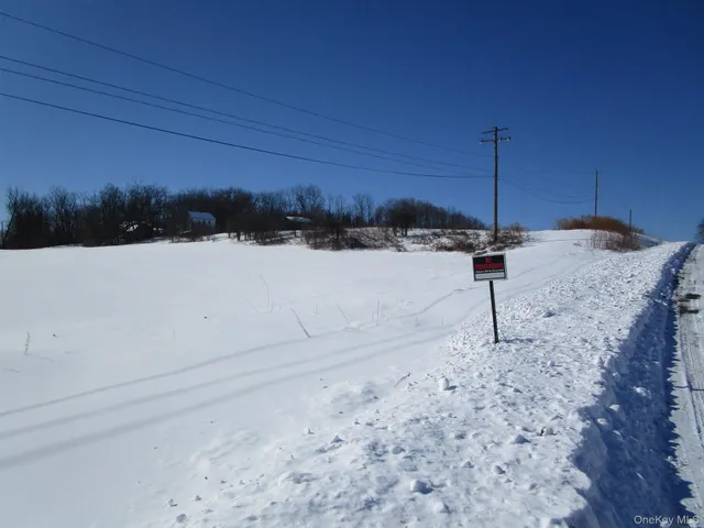a view of a dry yard