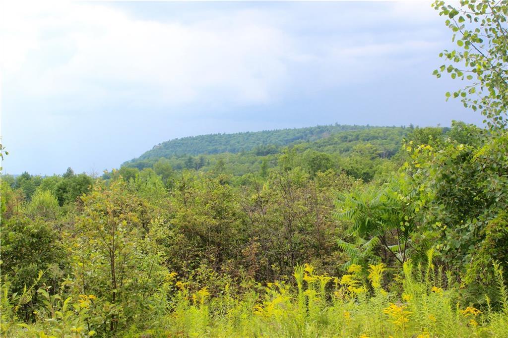 0 Chase Gate Road Harrison, ME 04040 - Photo 2 of 8 View of Hawk Mountain from the lot