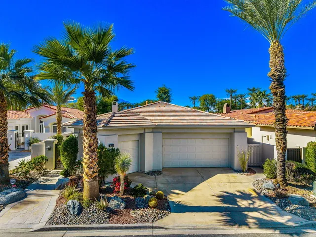 a room with furniture a window and a potted plant