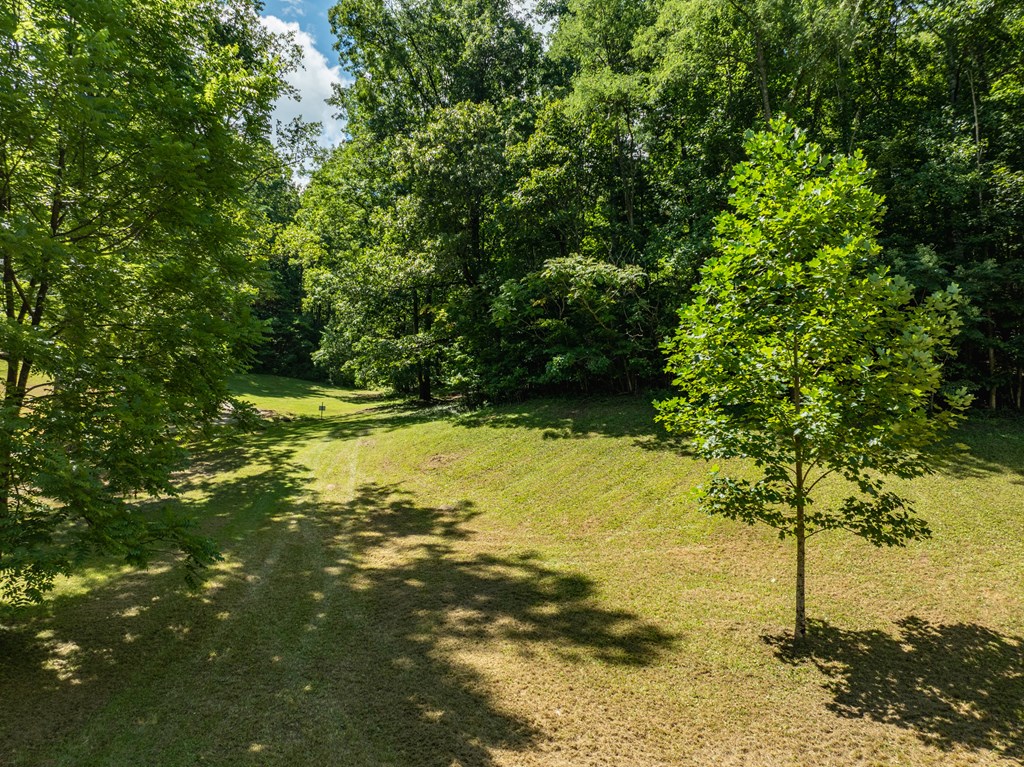 2039 Crowe Road Murphy, NC 28906 - Photo 18 of 36 a view of yard with tree