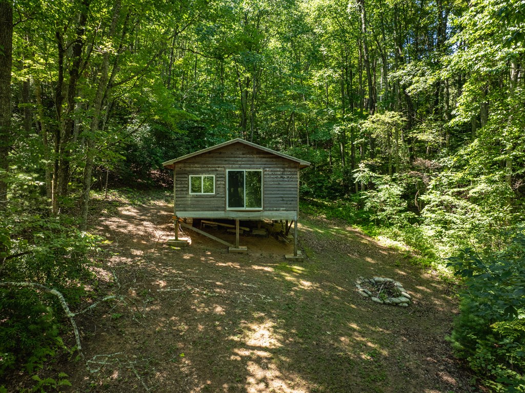 2039 Crowe Road Murphy, NC 28906 - Photo 19 of 36 a house with trees in front of it