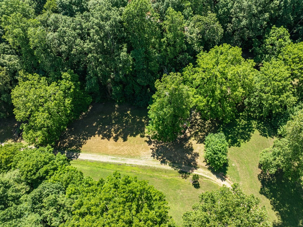 2039 Crowe Road Murphy, NC 28906 - Photo 23 of 36 a view of a yard with plants