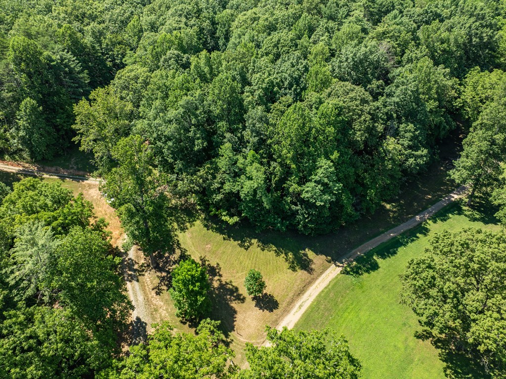 2039 Crowe Road Murphy, NC 28906 - Photo 25 of 36 a view of a garden with a tree