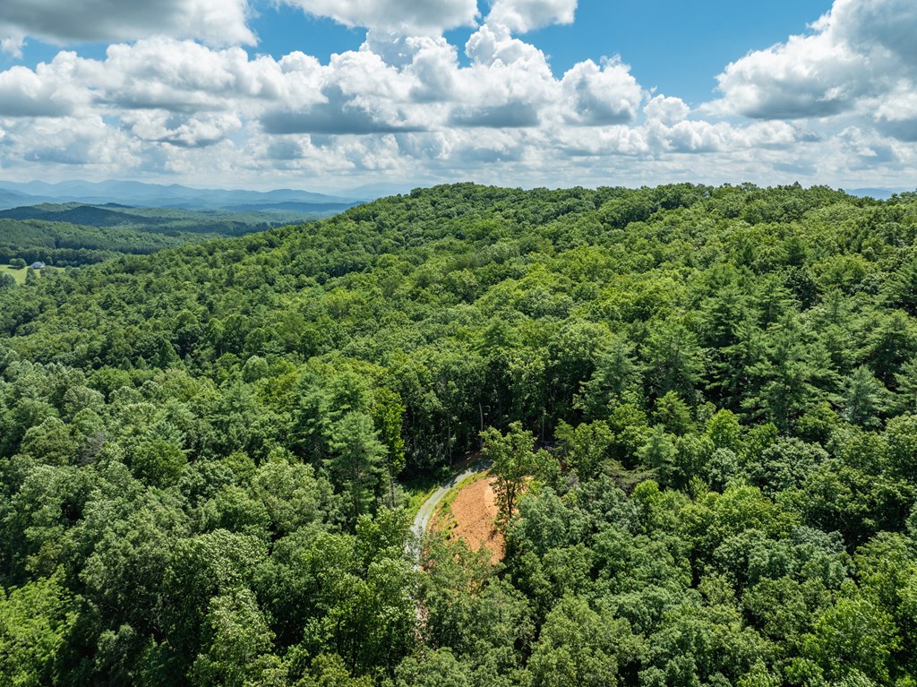 2039 Crowe Road Murphy, NC 28906 - Photo 28 of 36 a view of a bunch of trees in a field