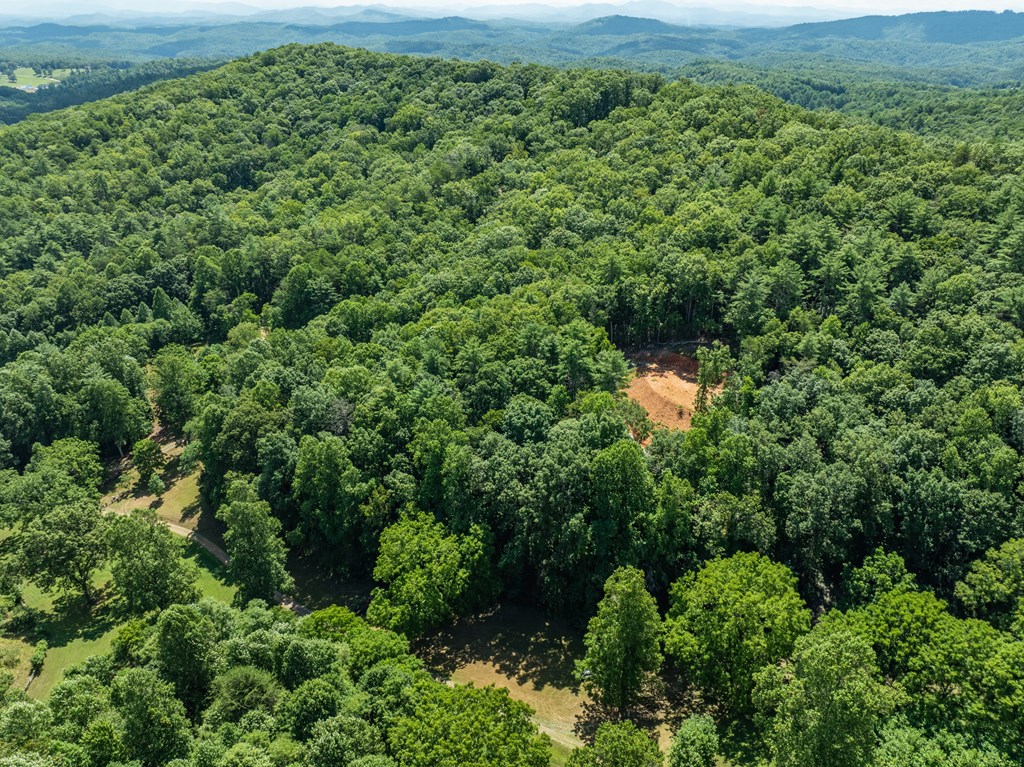2039 Crowe Road Murphy, NC 28906 - Photo 3 of 36 an aerial view of residential houses with outdoor space and trees