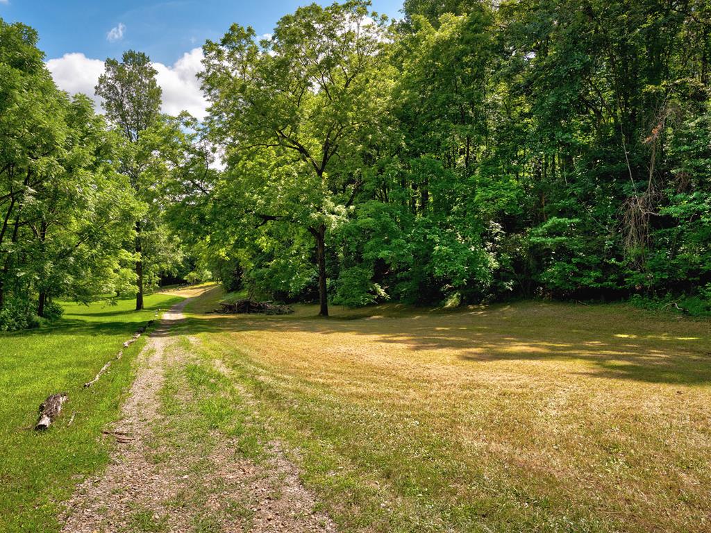 2039 Crowe Road Murphy, NC 28906 - Photo 4 of 36 a view of a yard