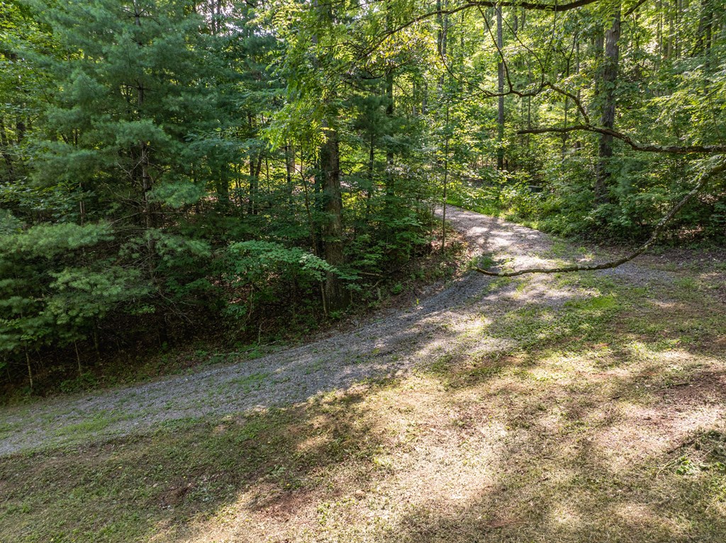 2039 Crowe Road Murphy, NC 28906 - Photo 6 of 36 a backyard of a house with lots of green space
